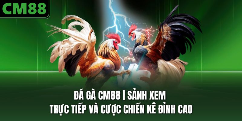 Những thông tin cần nắm về đá gà CM88