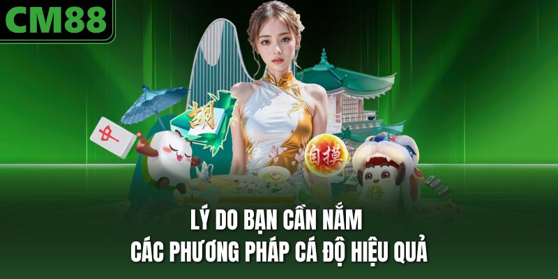 Bật mí các bí quyết cá độ từ chuyên gia